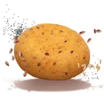 Ciao Carb - Protobun Meerzaden